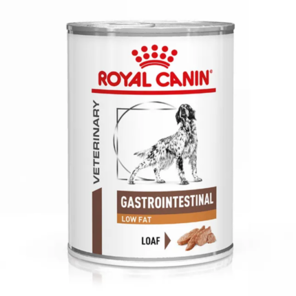 RC DOG GASTROINTESTINAL LOW FLAT gr 400