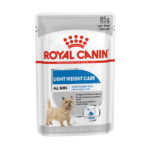 RC DOG LIGHT WCARE gr 85