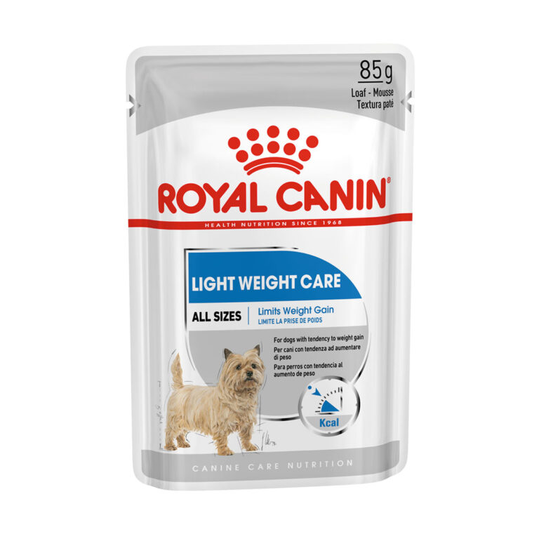 RC DOG LIGHT WCARE gr 85