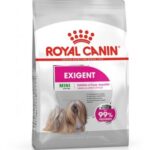 RC DOG MINI EXIGENT kg 3