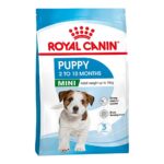 RC DOG MINI JUNIOR gr 800