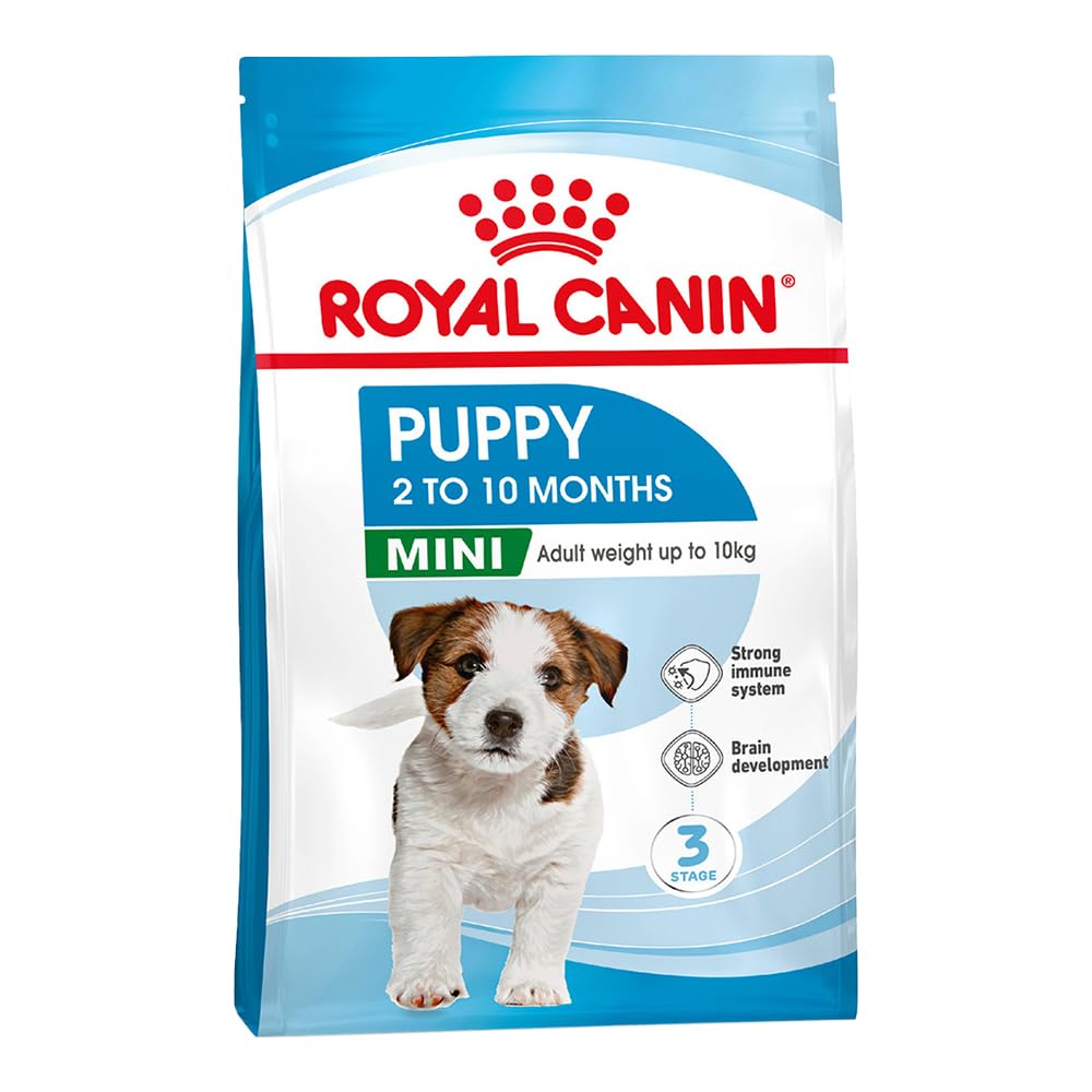 RC DOG MINI JUNIOR gr 800 RC DOG MINI JUNIOR gr 800
