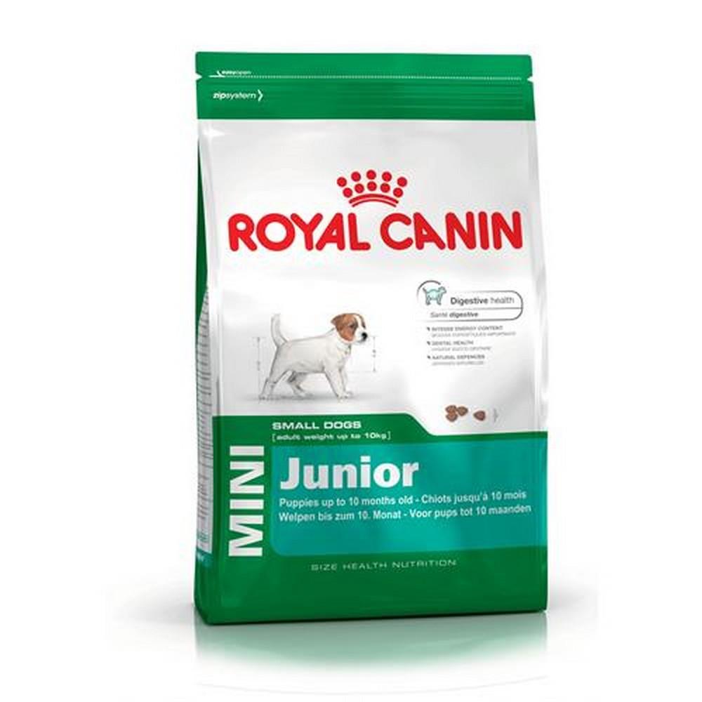 RC DOG MINI JUNIOR kg 2 RC DOG MINI JUNIOR kg 2