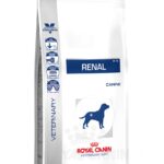 RC DOG RENAL kg 14