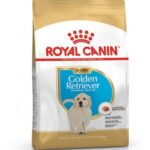 RC GOLDEN RETRIVER PUPPY kg 12