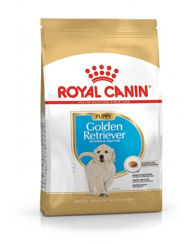 RC GOLDEN RETRIVER PUPPY kg 12