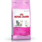 RC KITTEN 36 gr 400