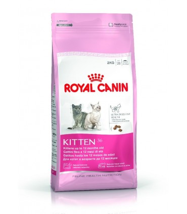 RC KITTEN 36 gr 400
