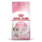 RC KITTEN kg 2 Flash