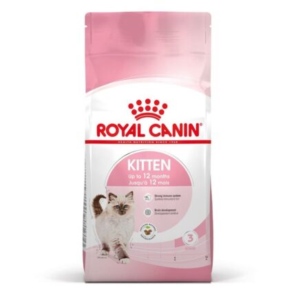 RC KITTEN kg 2 Flash