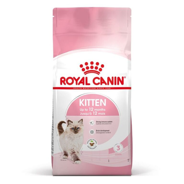 RC KITTEN kg 2 Flash
