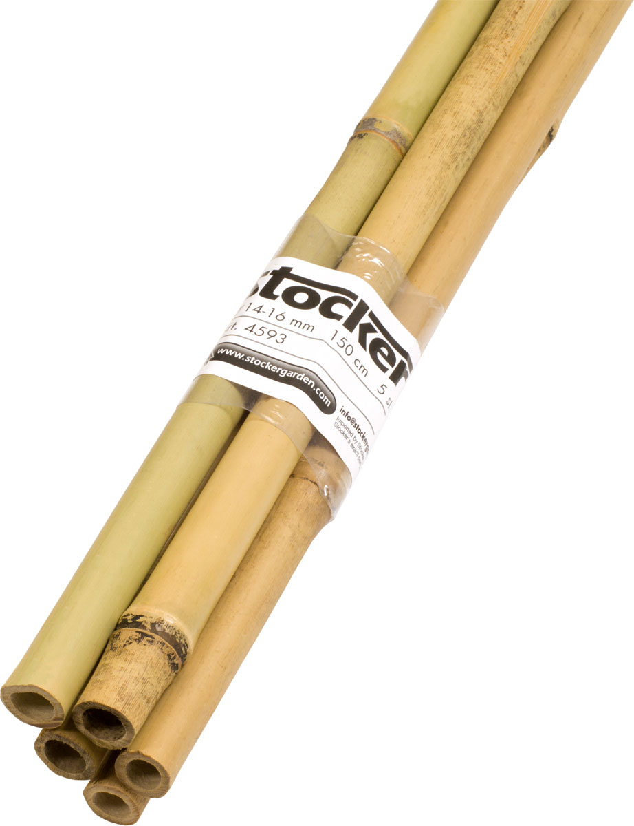 REGGIPIANTE BAMBU' PL. cm 180 10/12 mm REGGIPIANTE BAMBU' PL. cm 180 10/12 mm