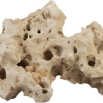 ROCK HOLE cm 14x4x8