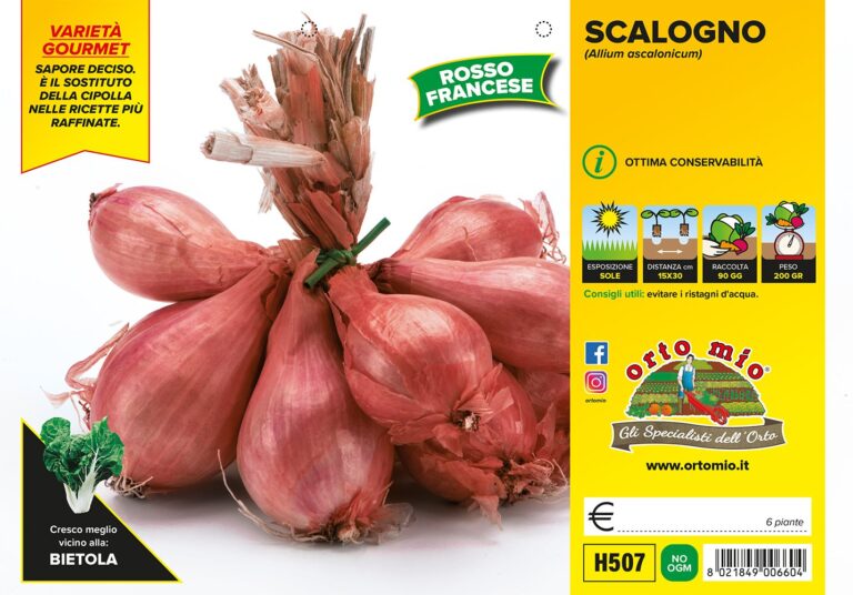 SCALOGNO ROSSO FRANCESE gr 500 Franchi