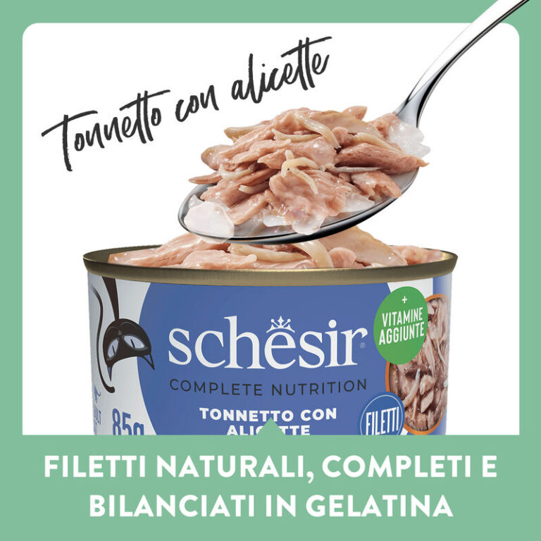 SCHESIR CAT gr 140 Tonno/Alicette Jelly