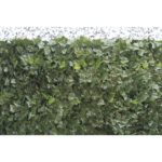 SEMPREVERDE FOGLIE EDERA POINT 1.5x3
