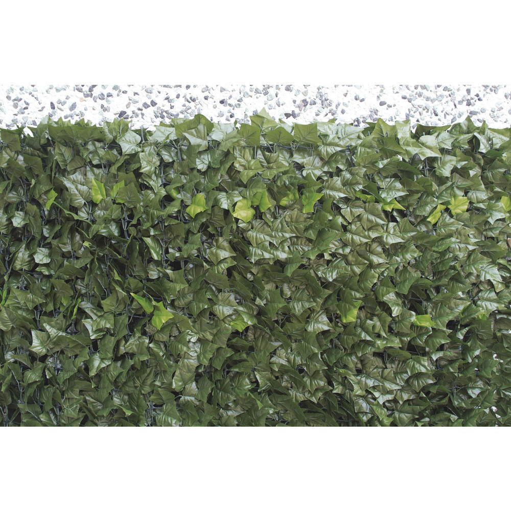 SEMPREVERDE FOGLIE EDERA POINT 1x3 SEMPREVERDE FOGLIE EDERA POINT 1x3