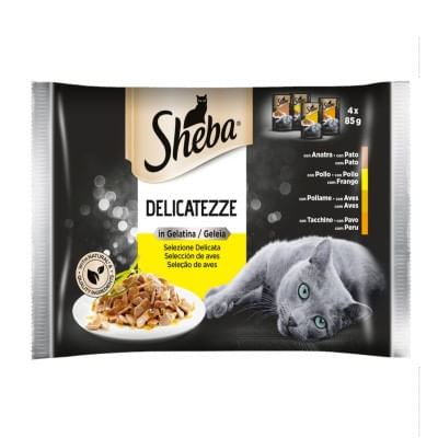 SHEBA CUISINE gr 85x4 Pollo
