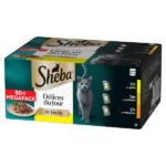 SHEBA DDJ gr 50x50 Selz. Delicata