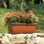SOTTOCASSETTA INIS cm 80 Terracotta