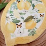 SOTTOPENTOLA c/Limoni