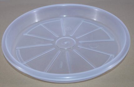 SOTTOVASO TERME cm 17 Trasparente