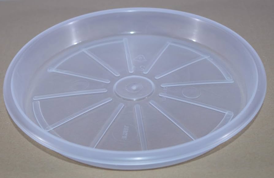 SOTTOVASO TERME cm 19 Trasparente SOTTOVASO TERME cm 19 Trasparente