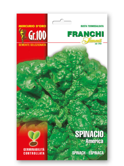 SPINACIO AMERICA gr 100 Franchi