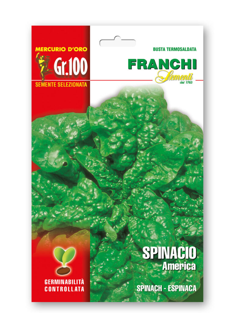 SPINACIO AMERICA gr 100 Franchi