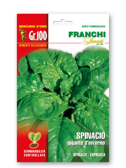 SPINACIO Gig. D'INVERNO gr 100 Franchi