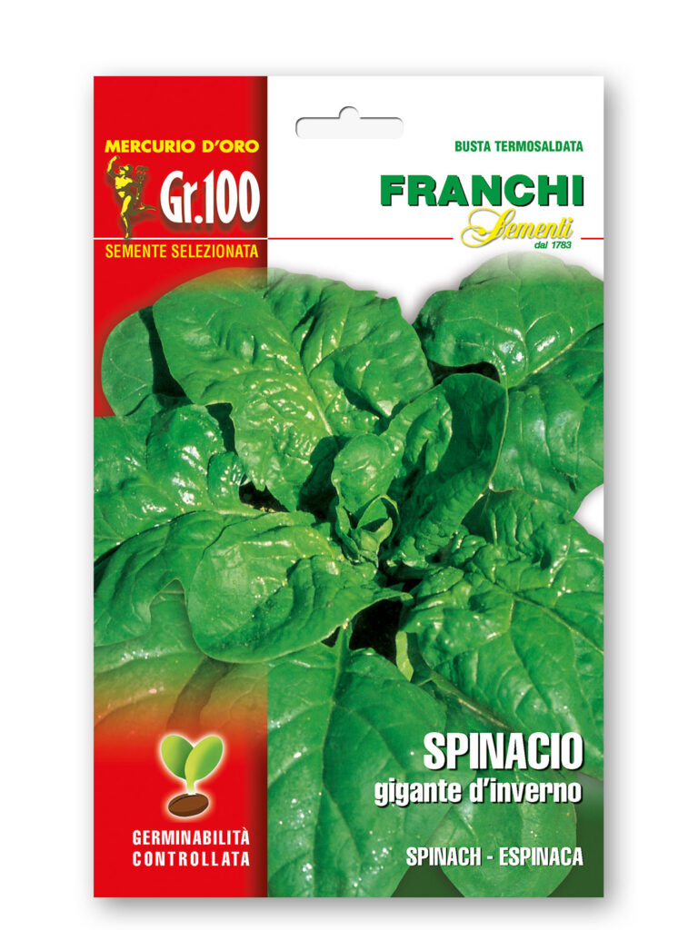SPINACIO Gig. D'INVERNO gr 100 Franchi