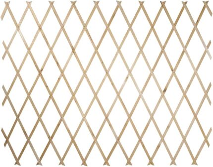 TRALICCIO LEGNO 100x200 NATURALE