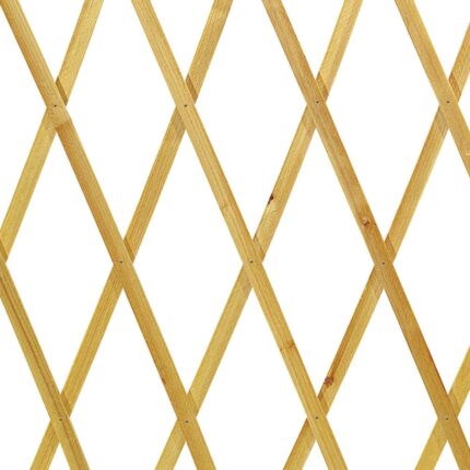 TRALICCIO LEGNO 100x300 NATURALE