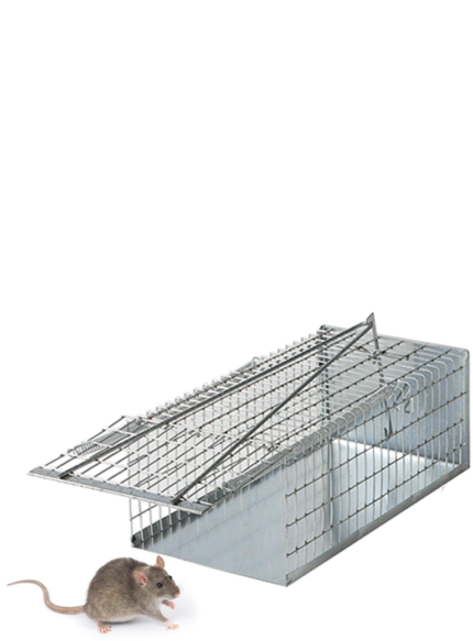 TRAPPOLA TOPI GALLERIA cm 30