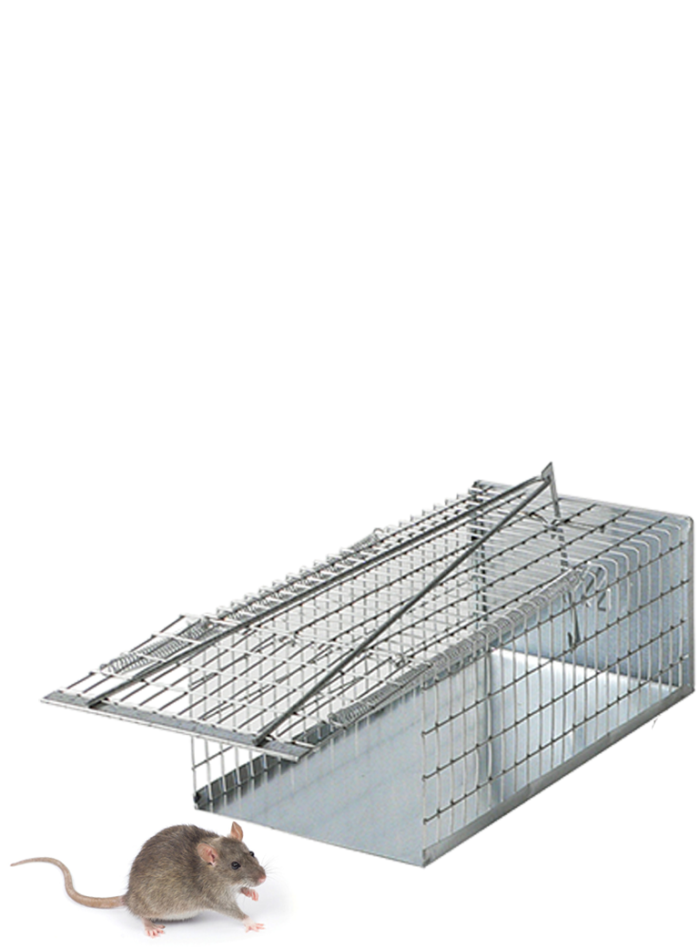 TRAPPOLA TOPI GALLERIA cm 30