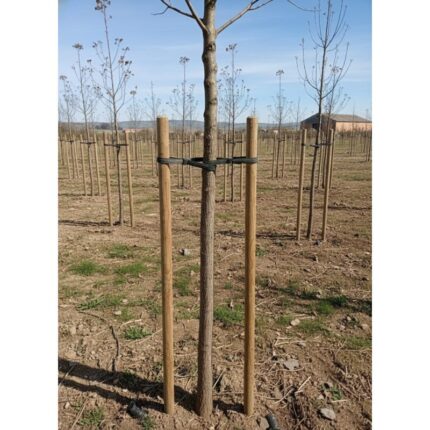 TUTORE LEGNO x PIANTE cm 150