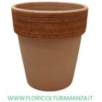 VASO ALTO GRAFFIATO cm 23