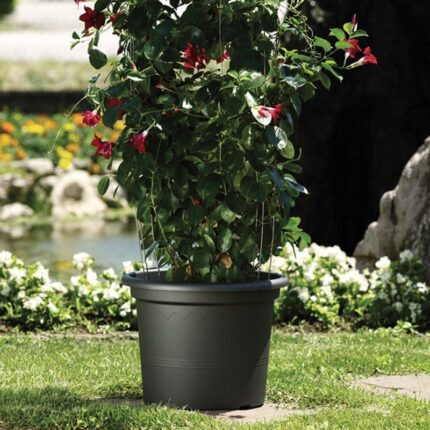 VASO GEO cm 20 Antracite