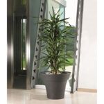 VASO MISIA RESINA cm 40 Nero Perla