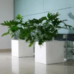 VASO QUADRO cm 30X30 H27 Lt 13.50