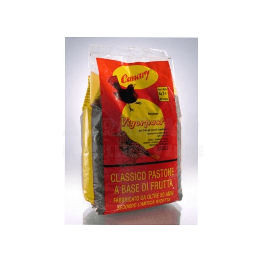 VIGORPAST PASTONE kg 1.5 VIGORPAST PASTONE kg 1.5