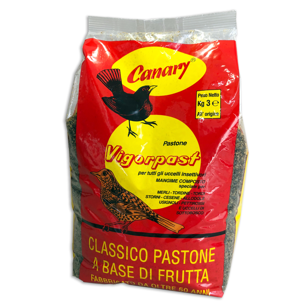 VIGORPAST PASTONE kg 3 Canary VIGORPAST PASTONE kg 3 Canary