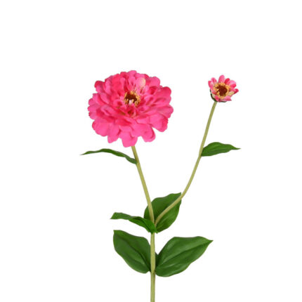 ZINNIA STEM Cod.8965X