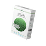 MIX TAPPETO BRILLANTE gr 500