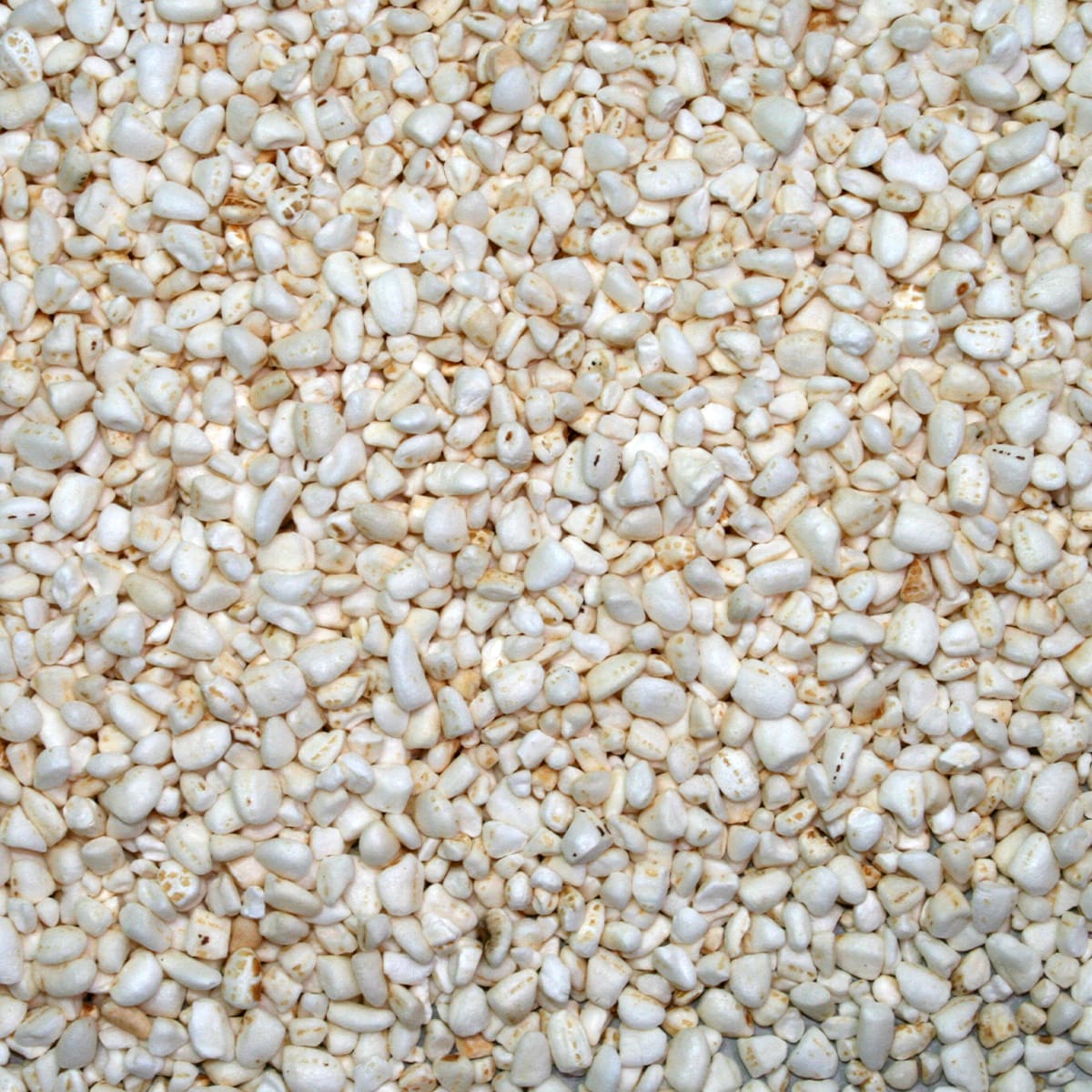 MIX RISO SOFFIATO c/VERDURE kg 5 Gisea MIX RISO SOFFIATO c/VERDURE kg 5 Gisea