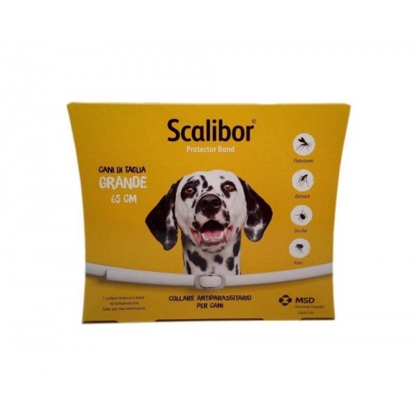 COLLARE SCALIBOR Grande cm 65