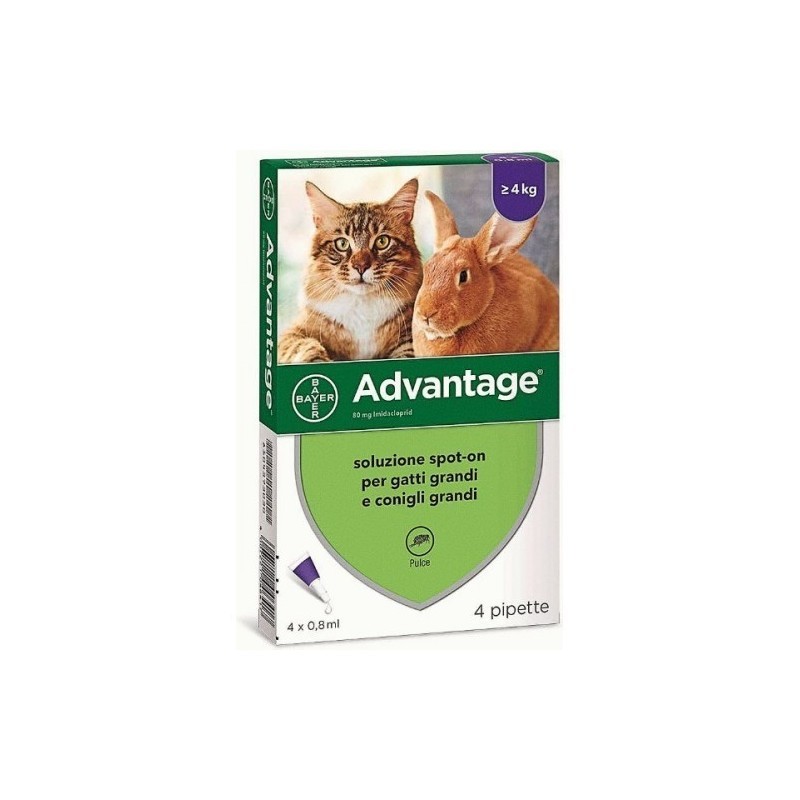 ADVANTAGE Spot On 80 Gatto/Coniglio